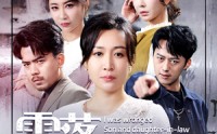 【雪落终有晴时】80集高清短剧全集在线流畅观看
