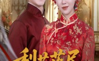 【梨花落尽又逢君】61集短剧在线全集速看
