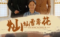 【灿灿萱草花】72集短剧免费观看完整版