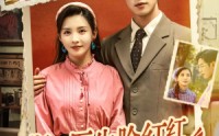 【斯文医生脸红红八零杀猪婆追着哄】66集短剧全集在线观看，精彩剧情不容错过