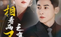【相看两不厌之有点坏】70集短剧免费高清在线观看平台
