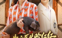 【斯文医生脸红红追着老婆哄】94集短剧免费观看完整版