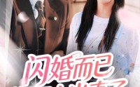 【闪婚而已你怎么当真了】76集短剧资源在线观看无广告