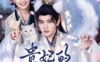 【贵妃的白猫夫君】81集短剧全集免费畅享观看