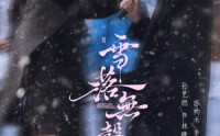 【雪落无声】20集短剧全集免费观瞧