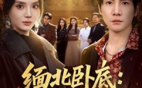 【缅北卧底：大嫂团都成我队友】71集优质短剧在线观瞧
