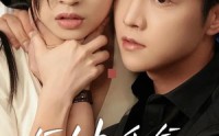 【这个女人不好惹】70集完整版短剧，在线观看不卡顿
