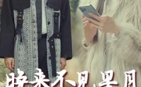 【晚来不见星月】40集短剧高清全集，随时随地在线看