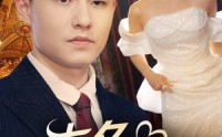 【七夕我在结婚现场掀桌子】81集高清短剧全集在线流畅观看