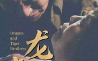 【龙虎兄弟】80集精彩短剧在线全集，随时追更