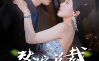 【替嫁总裁是大佬】81集短剧全集在线无广告观看