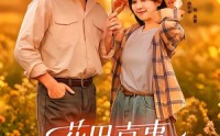 【花田喜事】61集短剧免费全集流畅播放