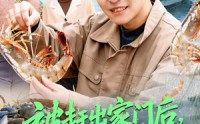 【被赶出家门后，我系统激活了】81集精彩短剧免费观看