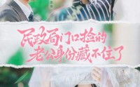 【民政局门口捡的老公身份藏不住了】79集短剧全集免费点播