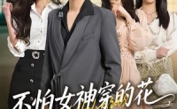【不怕女神穿的花，就怕总裁二十八】81集完整短剧免费在线看