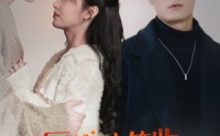 【历总，请签收你的龙凤胎】69集短剧免费全集在线追剧神器