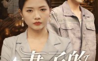 【妻子的伪装】30集短剧全集在线观看不卡顿