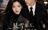 【暴雪那天，我捡了个老公】58集短剧免费在线观映
