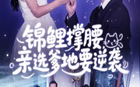 【锦鲤撑腰亲选爹地要逆袭】66集短剧免费在线畅看全集
