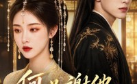 【何必谢他误芳华】57集短剧免费高清在线看