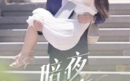 【暗夜情事】100集免费在线短剧赏观
