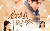 【你只是我纸上的名字】68集短剧免费高清在线看