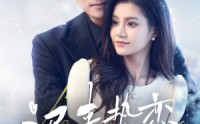 【迟来热恋】70集短剧高清全集在线一口气追完
