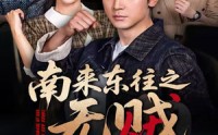【南来东往之无贼】全集51集短剧在线观看无广告