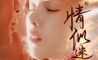 【情似迷雾】50集超清短剧在线观看体验佳