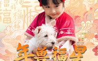 【年兽福星六岁半】62集短剧在线观看-高清蓝光画质