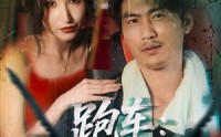 【跑车：车厢藏蛇】54集短剧在线完整观看