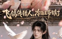 【飞鸽传错人，冷面王爷当真了】33集短剧在线免费观瞧