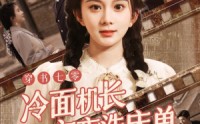【穿书七零冷面机长夜夜洗床单】60集短剧在线高清播放，全集任你看