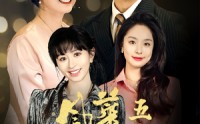 【风华正茂50岁】70集短剧全集在线观看无广告