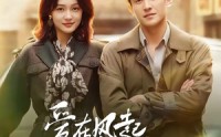 【爱在风起燕舞时】70集热门短剧在线免费观览