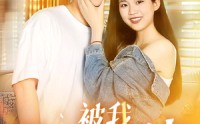 【被我弄丢的哑女】70集短剧全集在线观看极速版