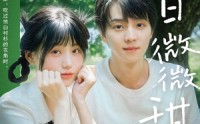 【夏日微微甜】79集短剧全集在线观看，享受夏日甜蜜