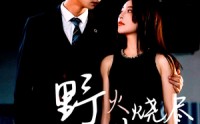 【野火烧尽芳草时】65集全集短剧手机在线观看