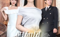 【假如风识贵贱】58集短剧免费在线赏映