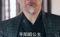 【前世桃花今生恨】100集短剧免费在线一口气看完