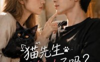 【猫先生今天做人了吗？】84集短剧全集在线热播