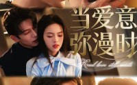 【当爱意弥漫时】80集短剧在线免费畅快观看