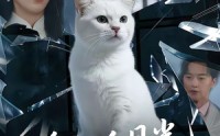 【他的白月光是只猫】69集短剧全集免费观瞧