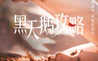 【黑天鹅攻略】65集短剧，全集高清在线观看不卡顿