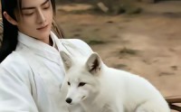 【万事孤陵，唯我长生】60集短剧免费高清观看