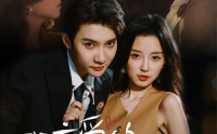 【我亲爱的闻总监（64）】64集全集免费超前看