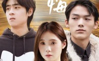 【迟爱无悔】65集短剧免费在线观看无删减