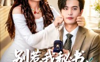 【别惹我秘书，她嘴开过光】74集短剧免费在线赏看