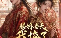 【赐婚当天，我换了新郎】81集短剧免费全集在线赏看