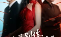 【陆总别作，太太她不要你了】66集热门短剧免费在线观